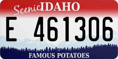 ID license plate E461306