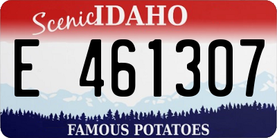 ID license plate E461307