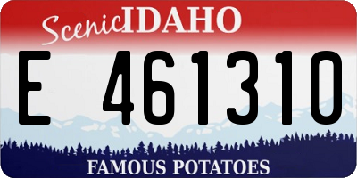 ID license plate E461310