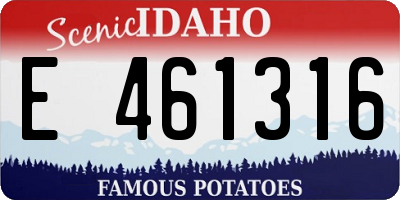 ID license plate E461316