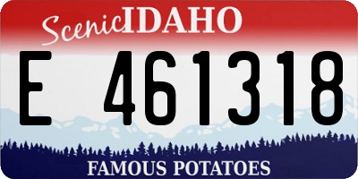 ID license plate E461318