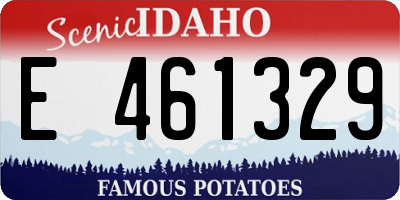 ID license plate E461329