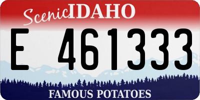 ID license plate E461333