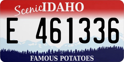 ID license plate E461336