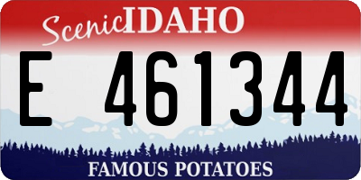 ID license plate E461344