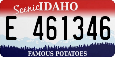 ID license plate E461346