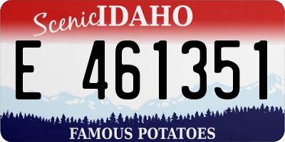 ID license plate E461351