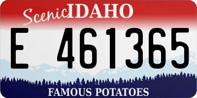 ID license plate E461365