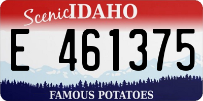 ID license plate E461375