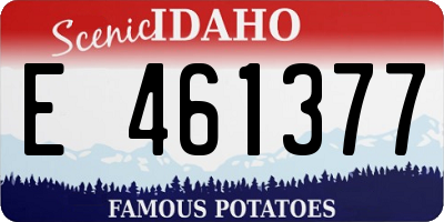 ID license plate E461377