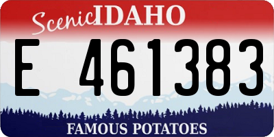 ID license plate E461383