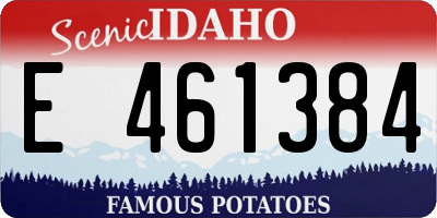 ID license plate E461384