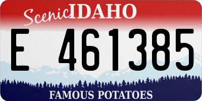 ID license plate E461385
