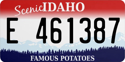 ID license plate E461387