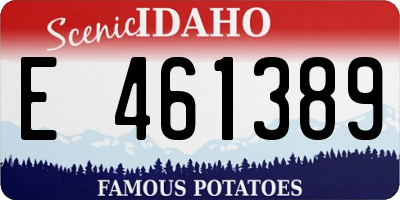 ID license plate E461389