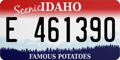 ID license plate E461390