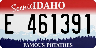 ID license plate E461391