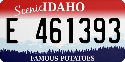 ID license plate E461393