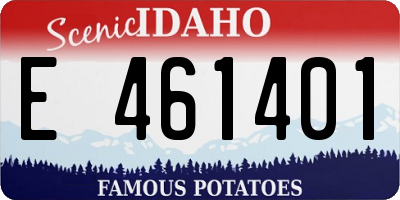 ID license plate E461401