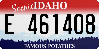 ID license plate E461408