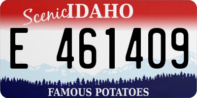 ID license plate E461409