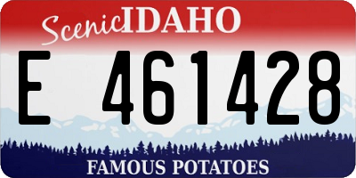 ID license plate E461428
