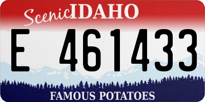 ID license plate E461433