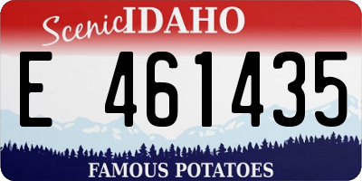 ID license plate E461435