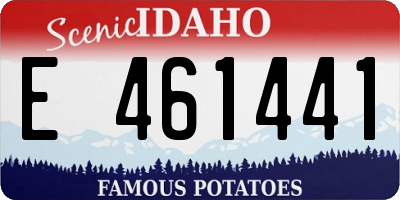 ID license plate E461441