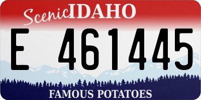 ID license plate E461445