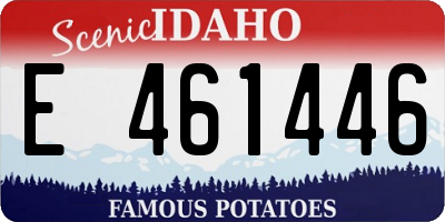 ID license plate E461446