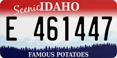 ID license plate E461447