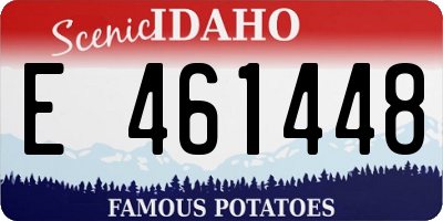 ID license plate E461448