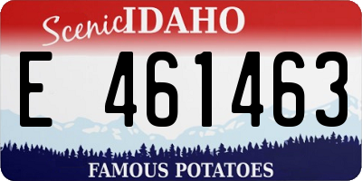 ID license plate E461463