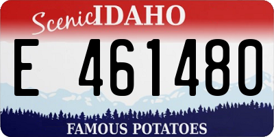 ID license plate E461480