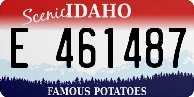 ID license plate E461487