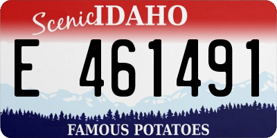 ID license plate E461491