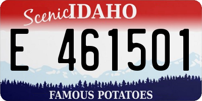 ID license plate E461501