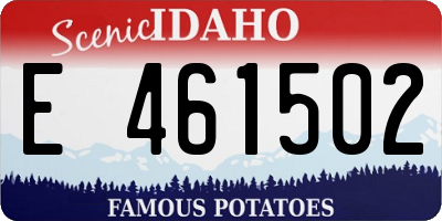 ID license plate E461502