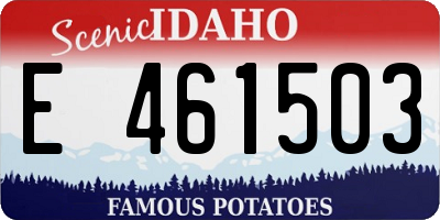ID license plate E461503