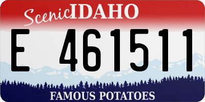 ID license plate E461511