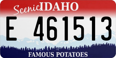 ID license plate E461513