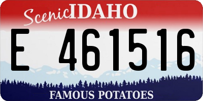 ID license plate E461516