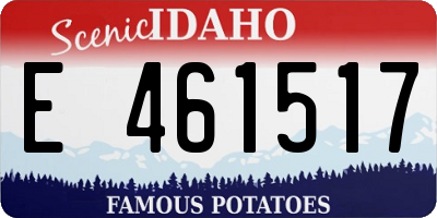 ID license plate E461517