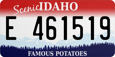 ID license plate E461519