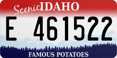 ID license plate E461522