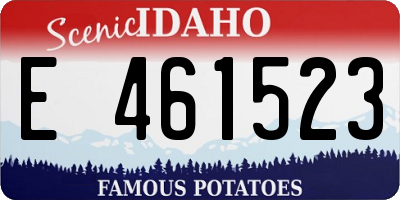 ID license plate E461523