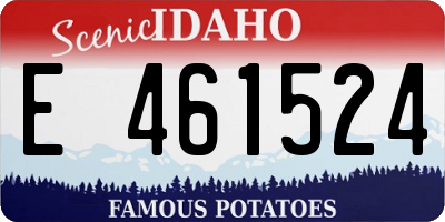 ID license plate E461524