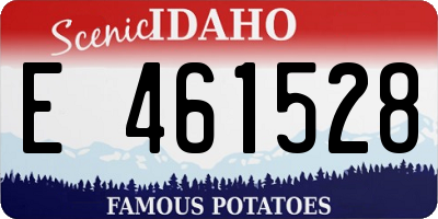 ID license plate E461528