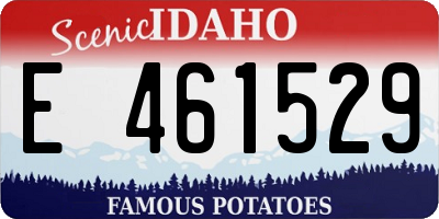 ID license plate E461529